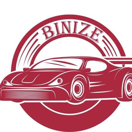 Binize